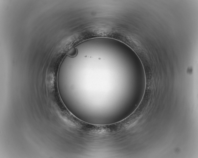 X0000094170646200711020942