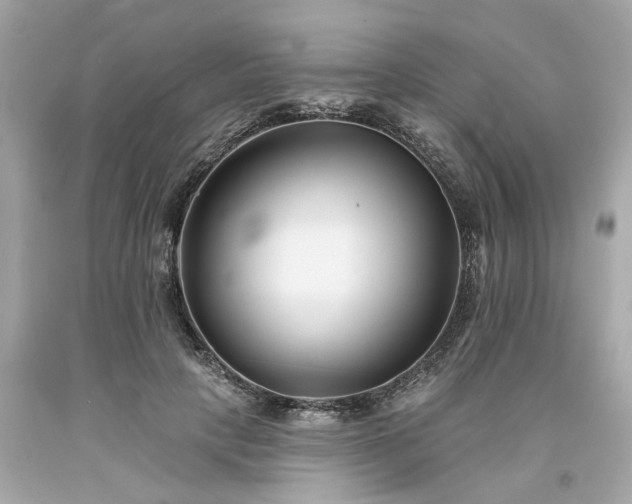 X0000094170649200711020942