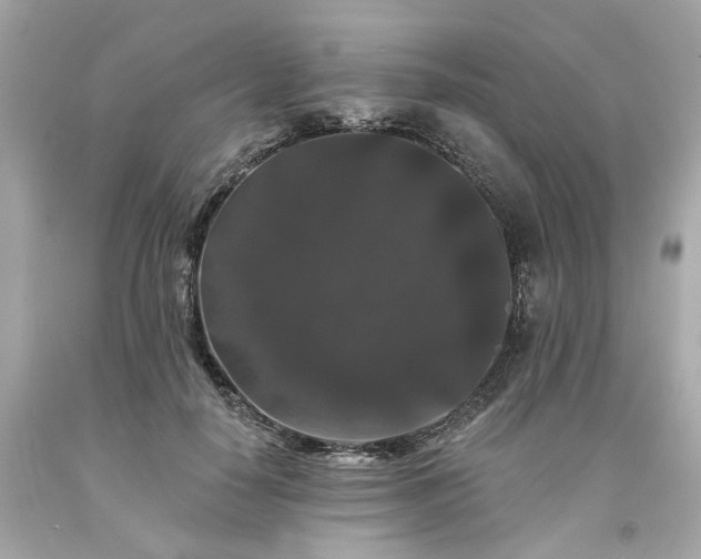 X0000094170650200711020942