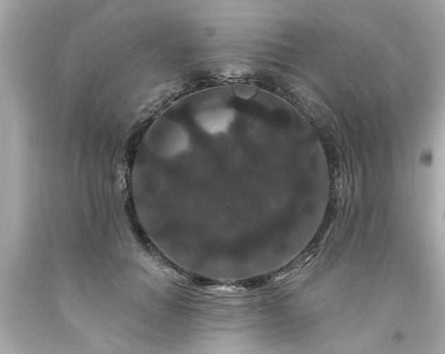 X0000094170654200711020942