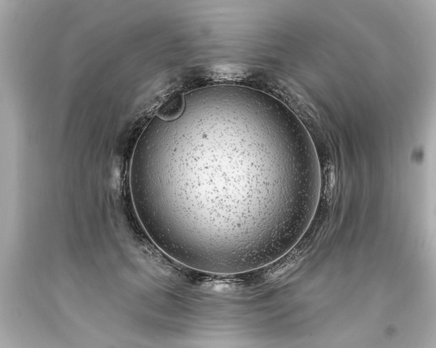 X0000094170655200711020942