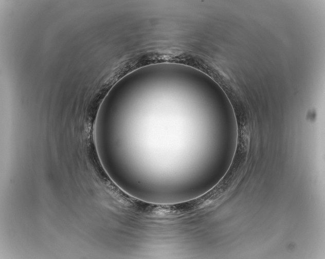 X0000094170657200711020942