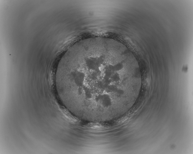X0000094170658200711020942
