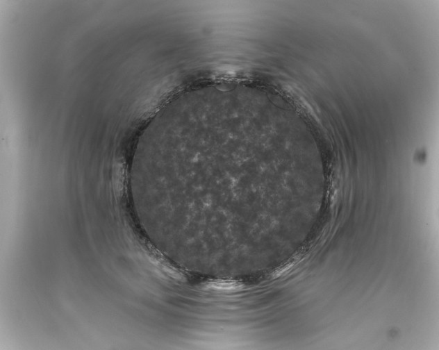 X0000094170659200711020942