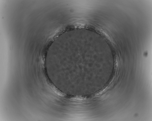 X0000094170661200711020942