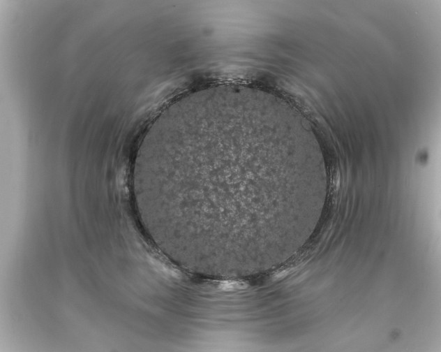 X0000094170663200711020942
