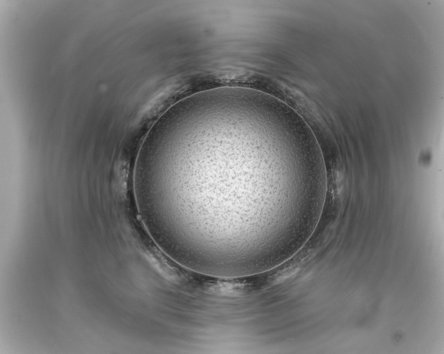 X0000094170664200711020942