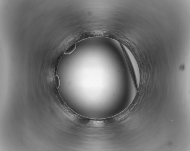 X0000094170665200711020942