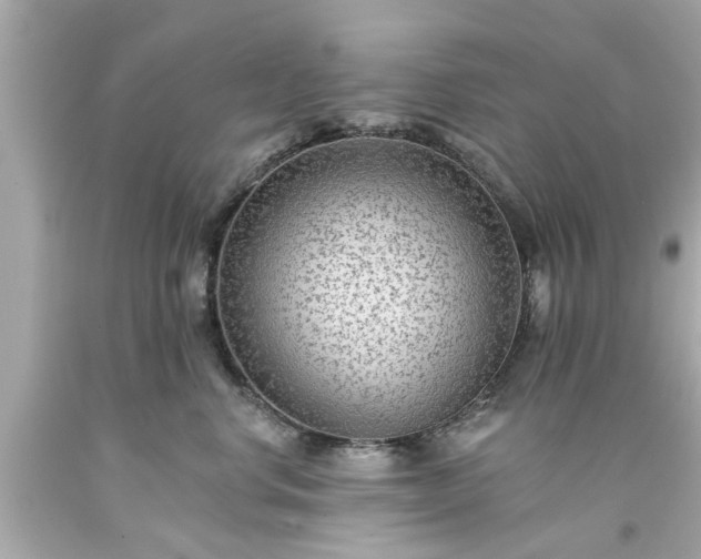 X0000094170668200711020942