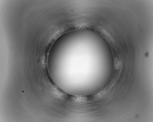 X0000094170670200711020942