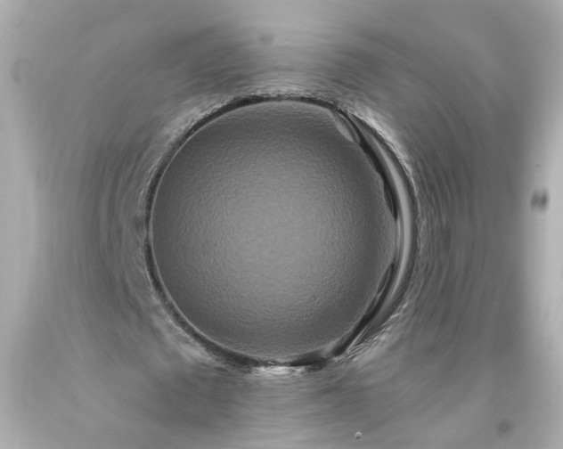 X0000094170673200711020942