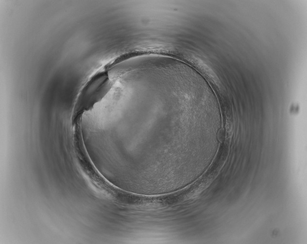 X0000094170674200711020942