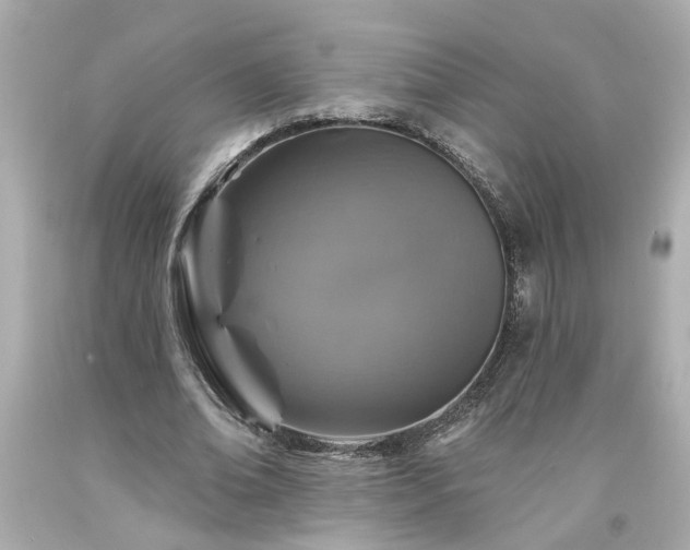 X0000094170678200711020941