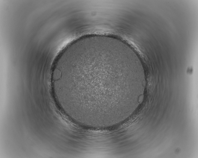 X0000094170679200711020941