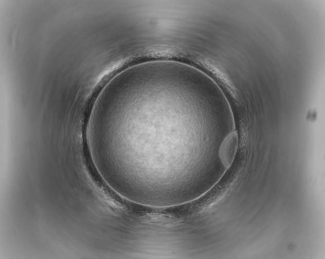 X0000094170681200711020941