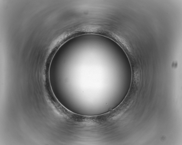 X0000094170682200711020941