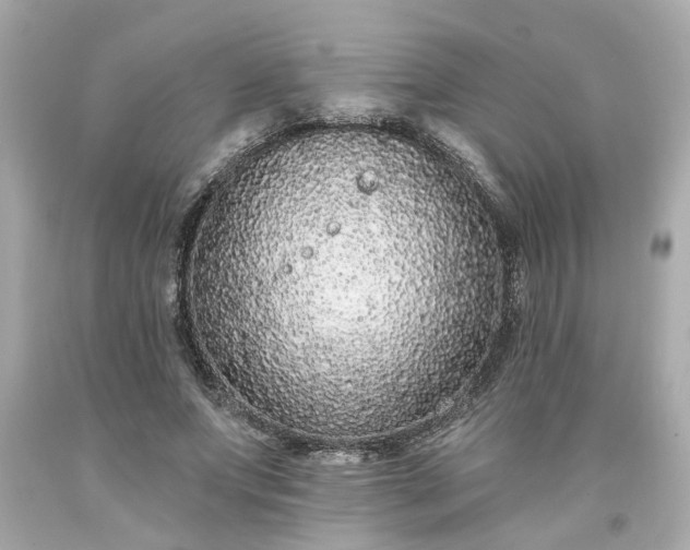 X0000094170687200711020941