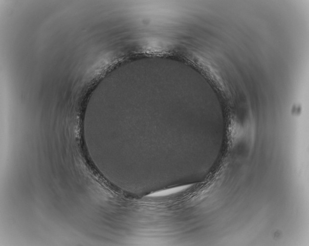 X0000094170689200711020941