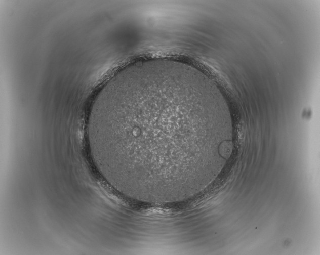 X0000094170691200711020941