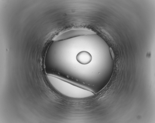 X0000094170693200711020941