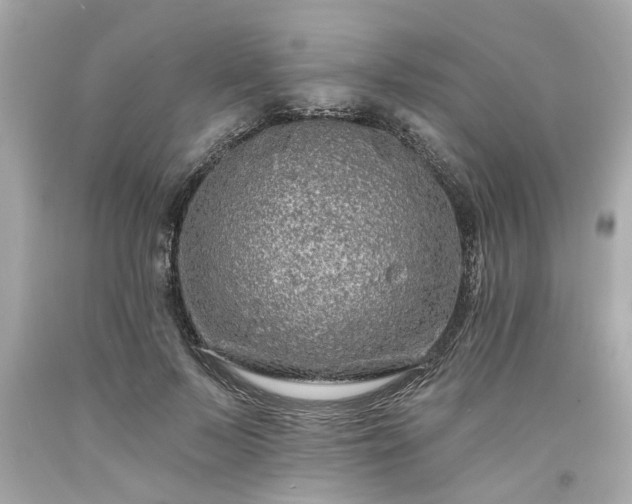 X0000094170695200711020941