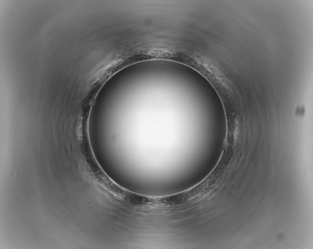 X0000094170696200711020941
