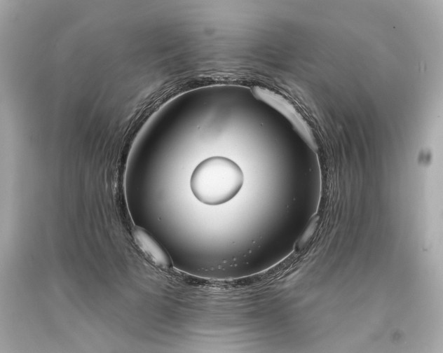 X0000094170697200711020941