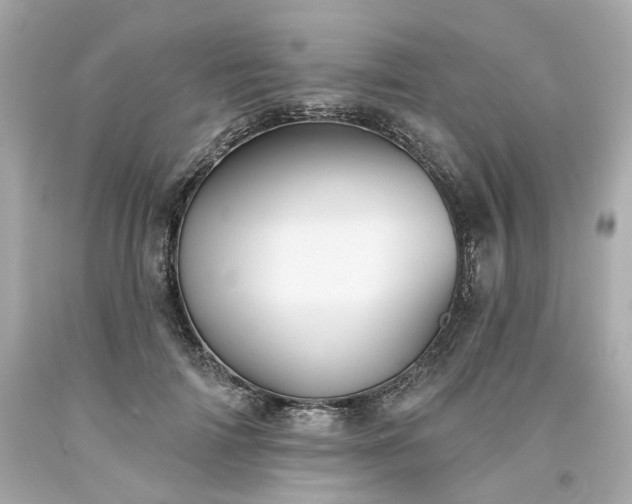 X0000094170698200711020941