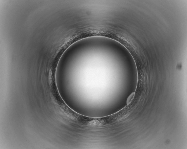 X0000094170700200711020941