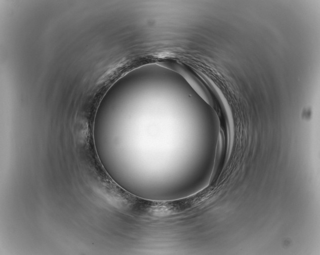 X0000094170704200711020941