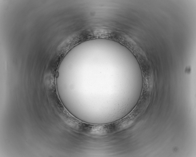 X0000094170705200711020941
