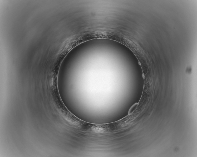 X0000094170706200711020941