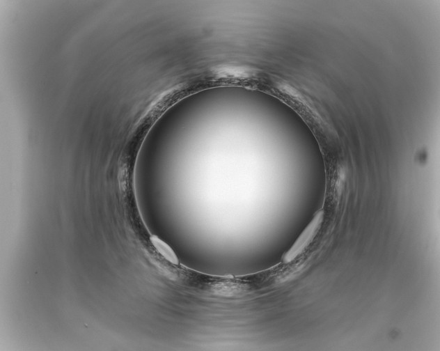 X0000094170708200711020941