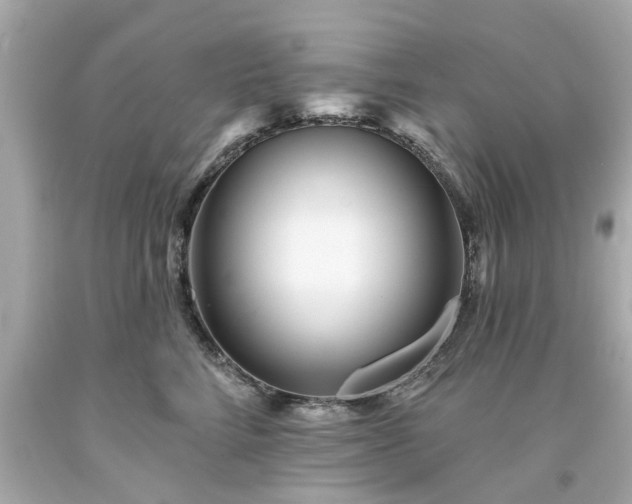 X0000094170712200711020941