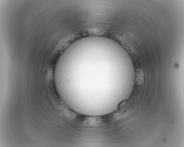 X0000094170713200711020941