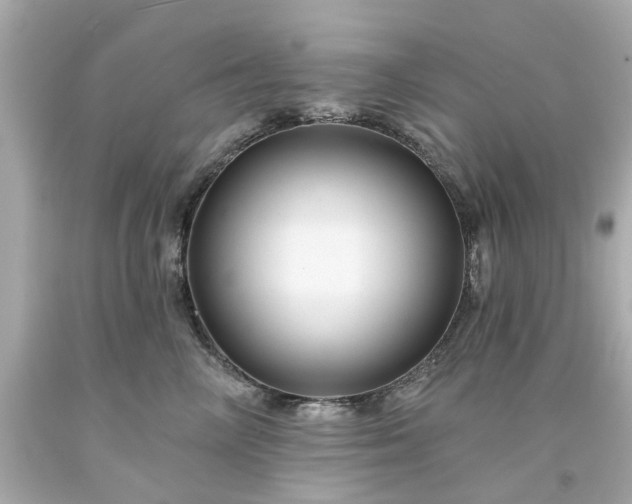 X0000094170714200711020941