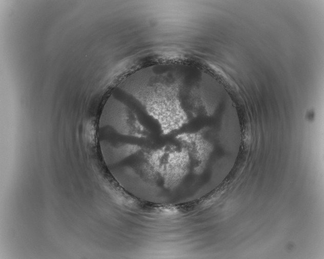 X0000094170715200711020941