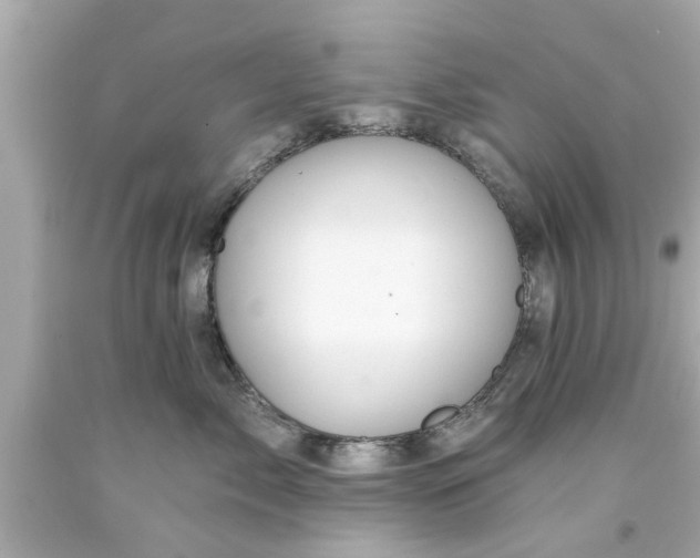 X0000094170717200711020941