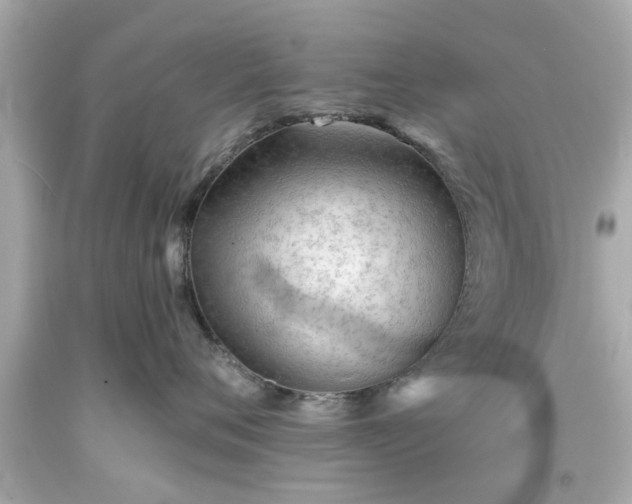 X0000094170720200711020941