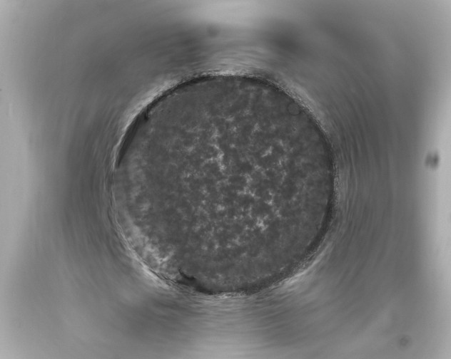 X0000094170721200711020940