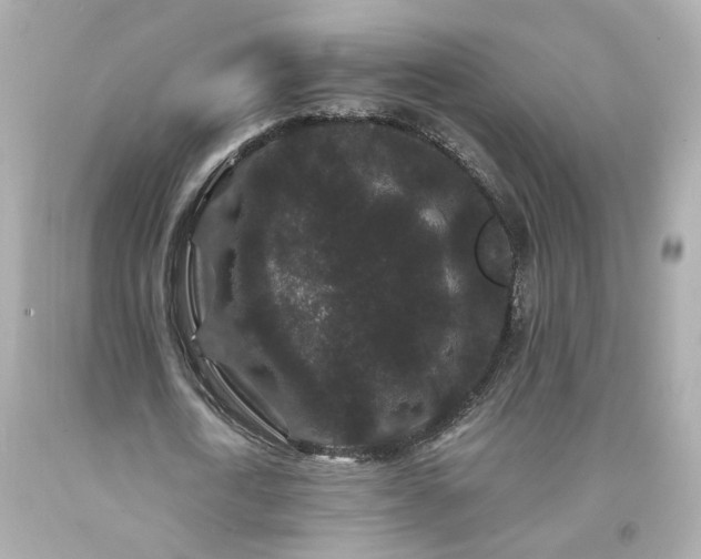 X0000094170722200711020940