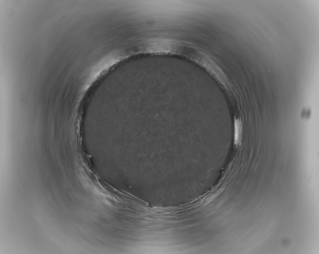 X0000094170723200711020940