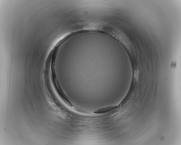 X0000094170724200711020940