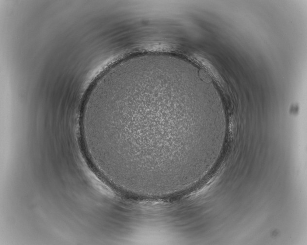 X0000094170725200711020940