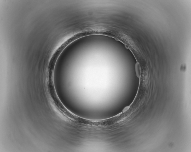 X0000094170726200711020940