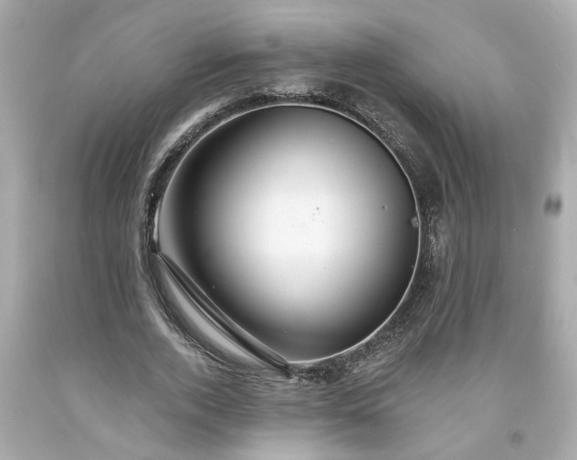 X0000094170728200711020940