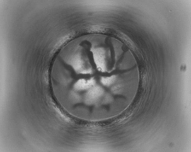 X0000094170729200711020940