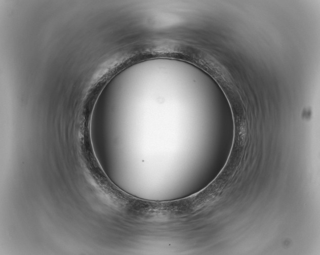 X0000094170732200711020940