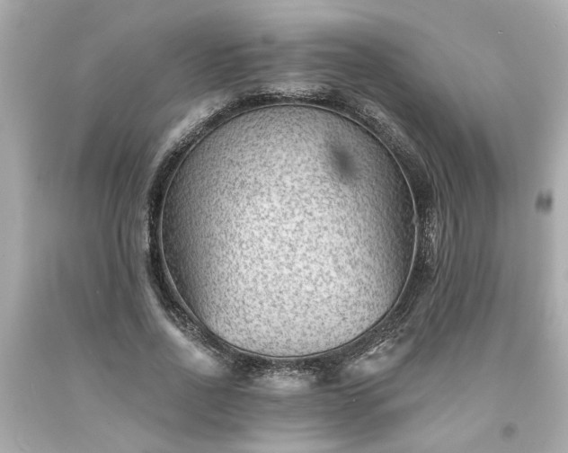 X0000094170734200711020940