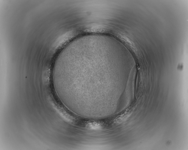 X0000094170735200711020940